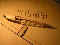Moustique PICT7565-1024